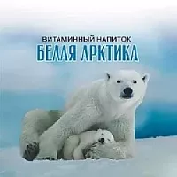 Витаминный напиток Белая Арктика 25 г с доставкой по России и в Казахстан | BreadyФото 2